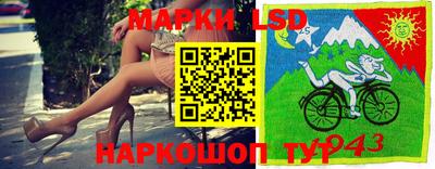 индика Апшеронск