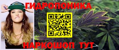 ПСИЛОЦИБИНОВЫЕ ГРИБЫ Аргун