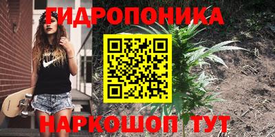 индика Апшеронск